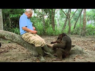 Green Awards 2010 Lifetime Achievement Award Winner Sir David Attenborough