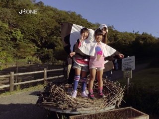 ASIE INSOLITE – Toyooka : les cigognes et le théâtre