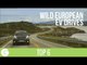 Top 6 Wild EV Drives | Nissan