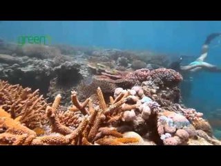 Whitsundays natural beauty