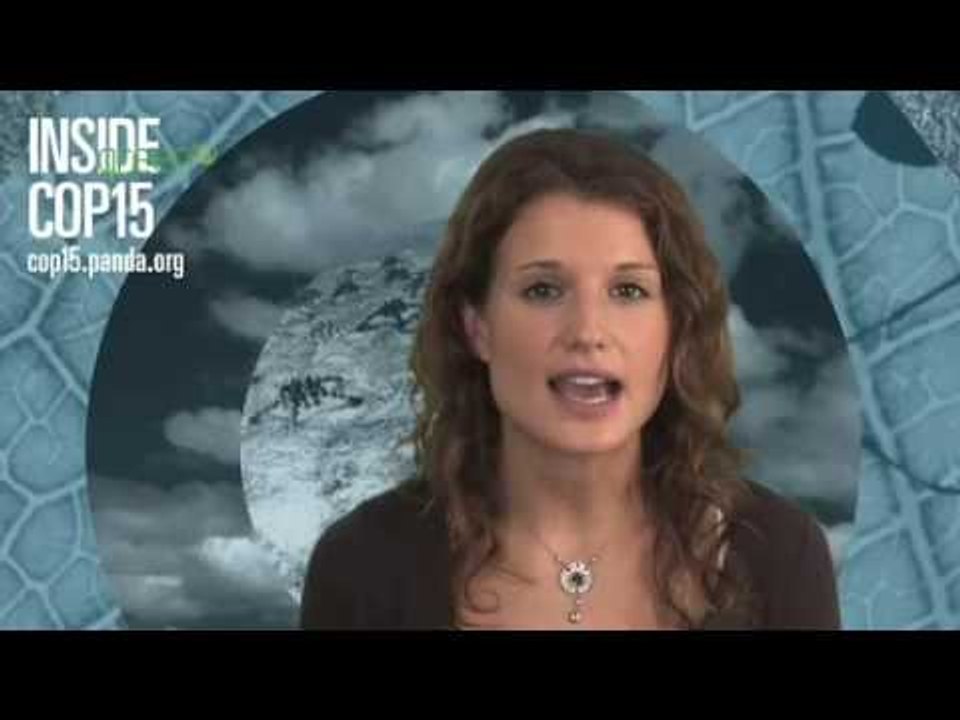 Inside Cop 15 Trailer