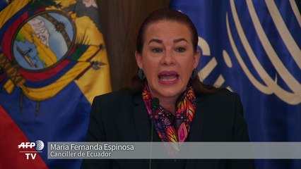 Ecuador concede ciudadanía a Assange, asilado en Londres