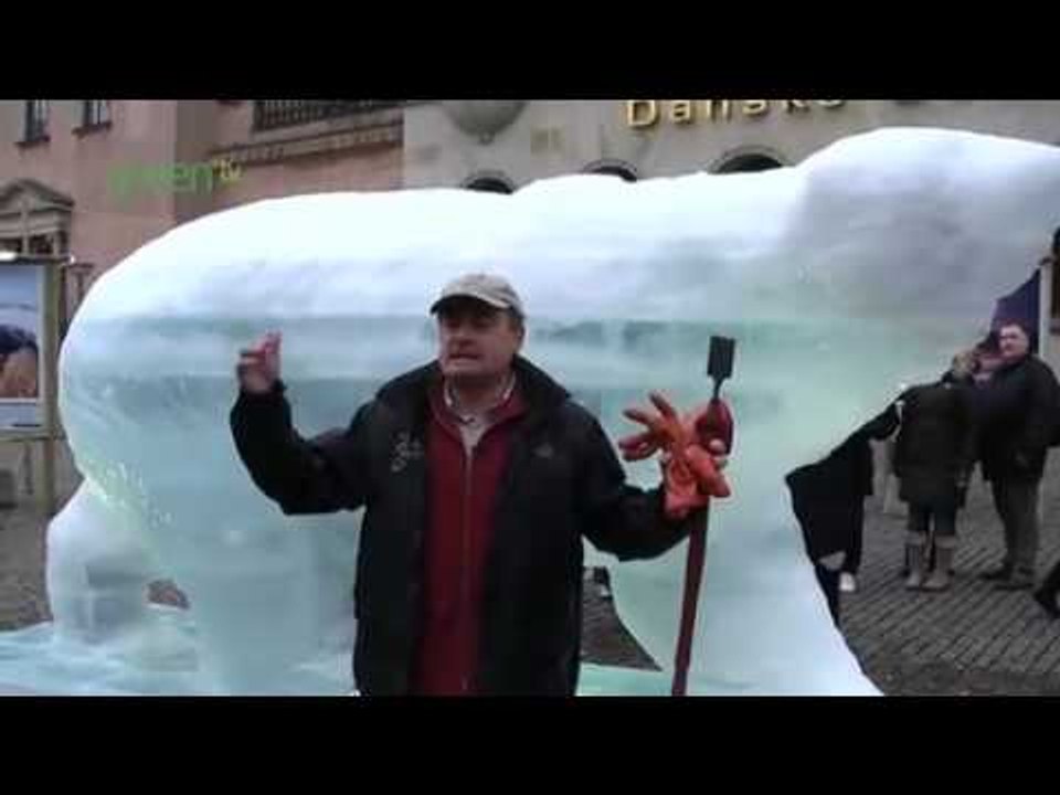 Inside Copenhagen - Bear in the square