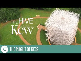 Kew Gardens | The Hive