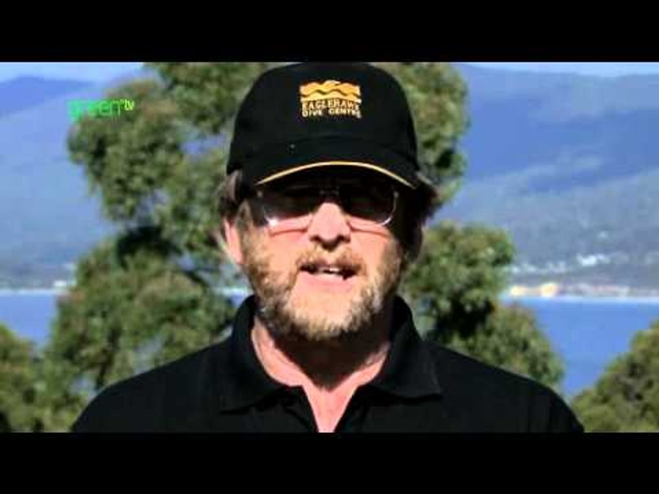 Maria Island Marine Reserve - History