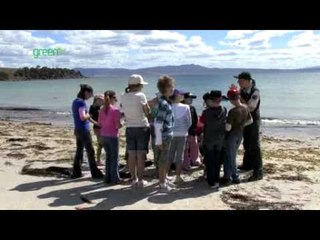 Maria Island Marine Reserve - Land and Sea interface