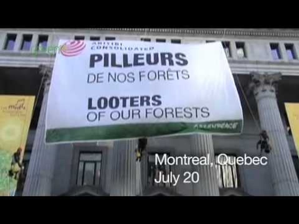 Taking Action for the Boreal Forest - A Look Back