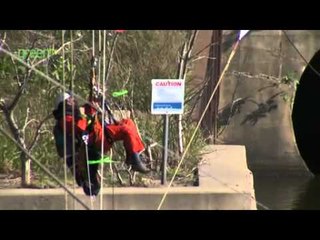 New Hands on Deck - Harmon