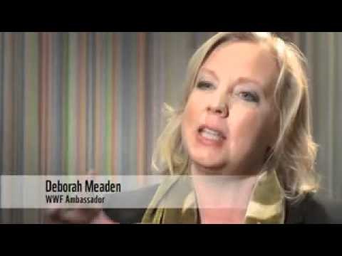 Business leaders call for transformational change