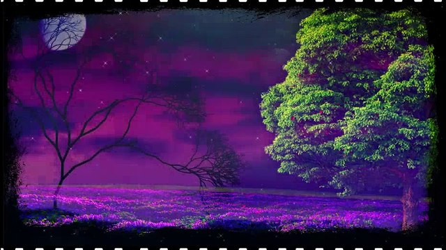 Bana Aşkı Anlat Bu Gece | Şiir