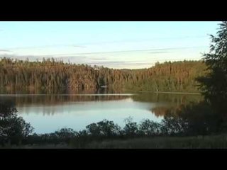 Illegal Russian Logging