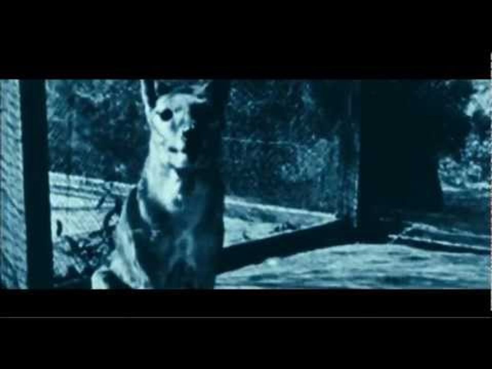 The Hunter trailer - in cinemas from 6 July 2012