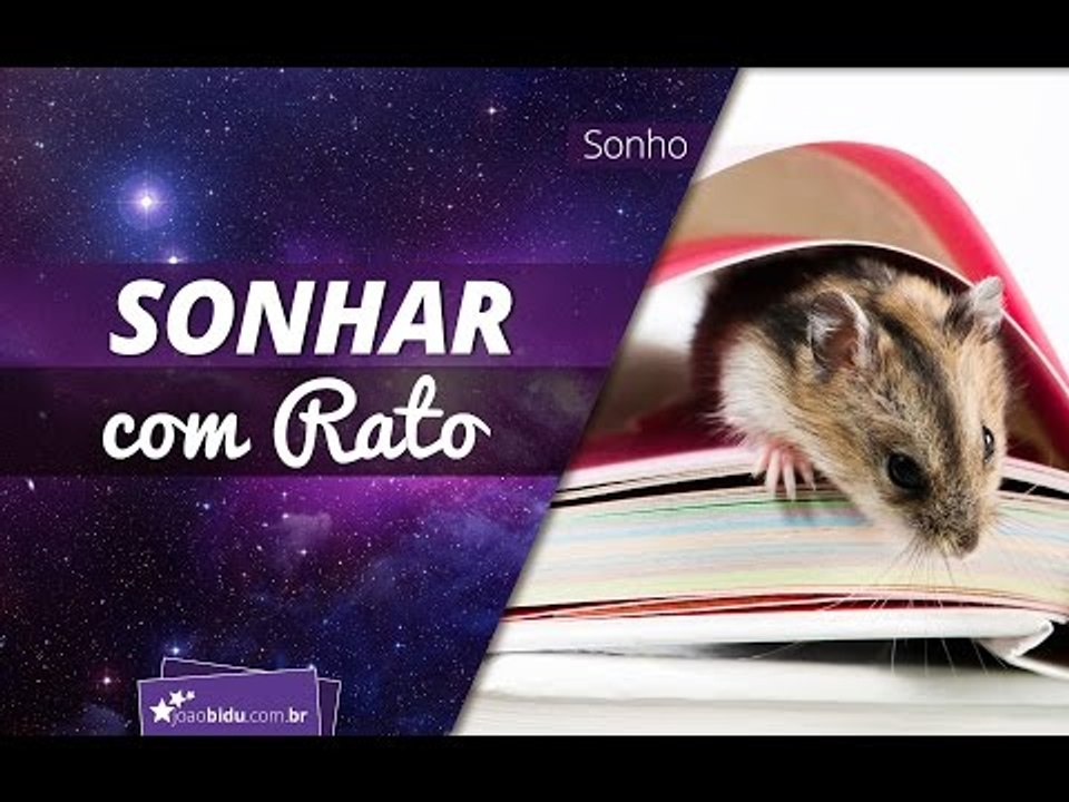 O que significa sonhar com rato?