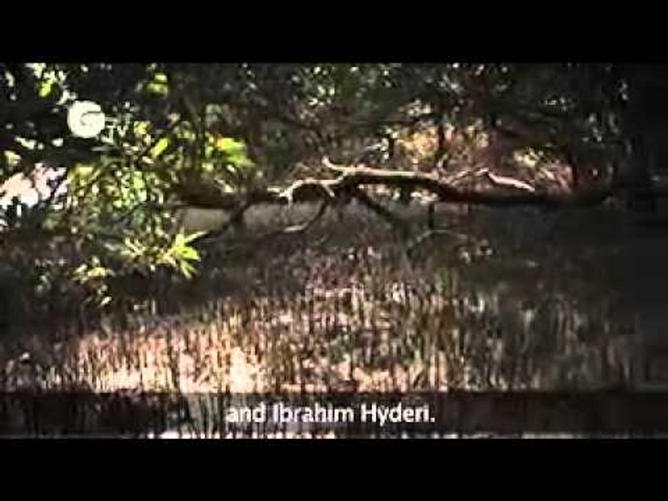 Mangroves in Pakistan
