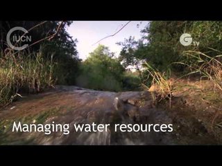 What is IUCN? Global Conservation Network 🌍