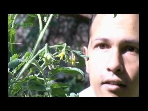 People, Plants and Pollinators - Kenya