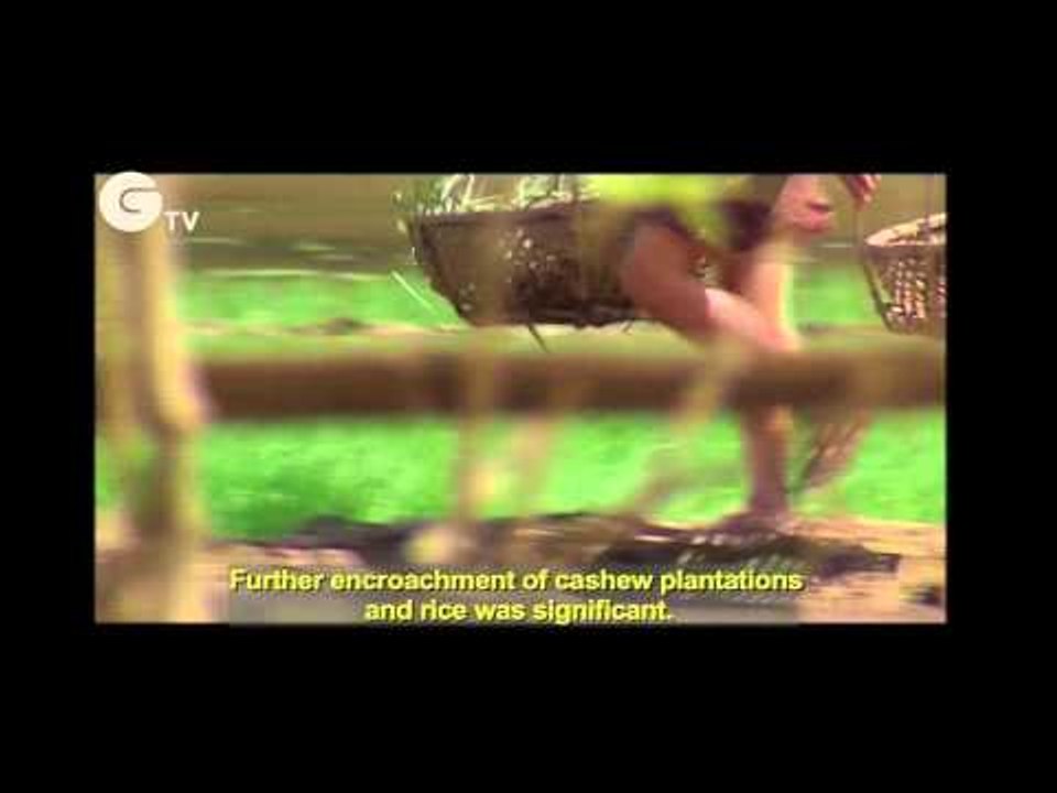 Rhinos Becoming Extinct