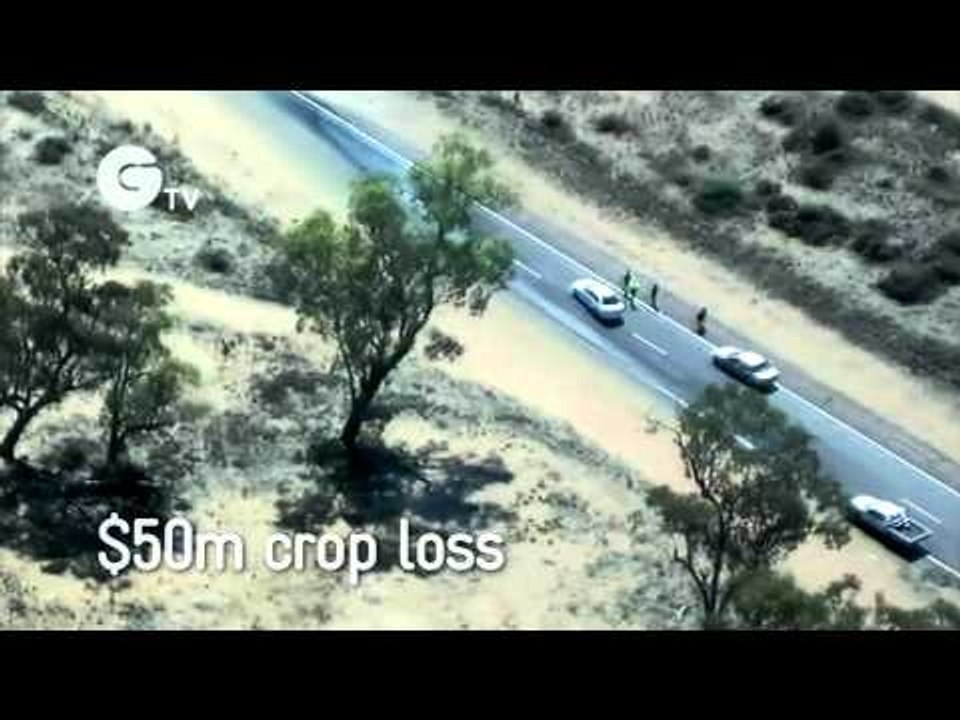 New South Wales Floods - Extreme Weather