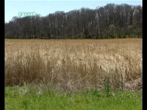 Changing the Forecast for Wildlife Certified Wildlife Habitats