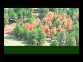 Connecting the Dots - Western Wildfires
