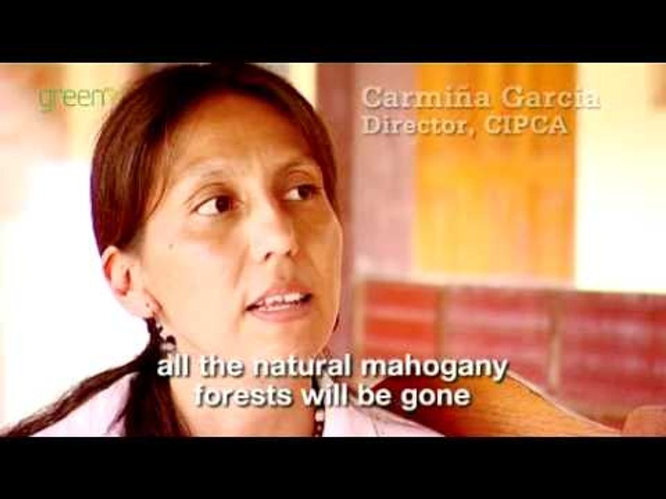 Forests on the Frontline