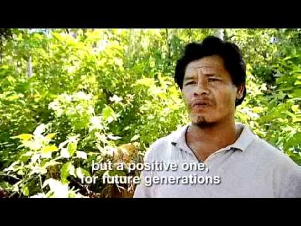 Forests on the Frontline - Part 2