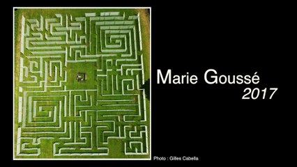 Extrait 5 Le labyrinthe