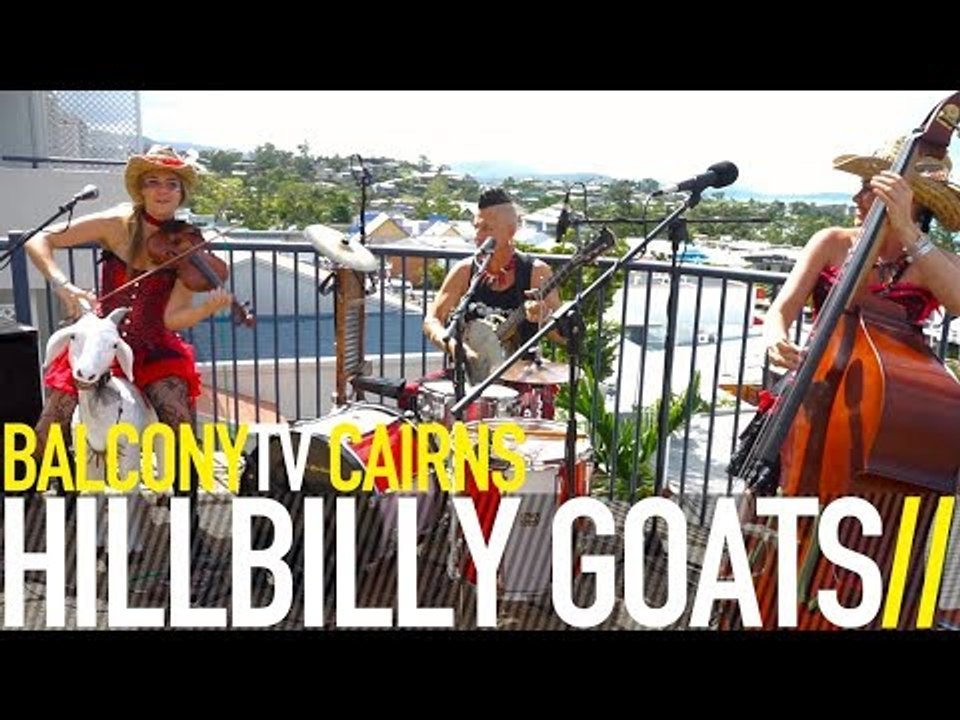 HILLBILLY GOATS - CUMBERLAND GAP (BalconyTV)