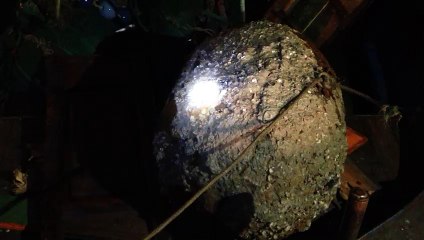 4a31e92a-7995-4445-934e-a184a7041ccc