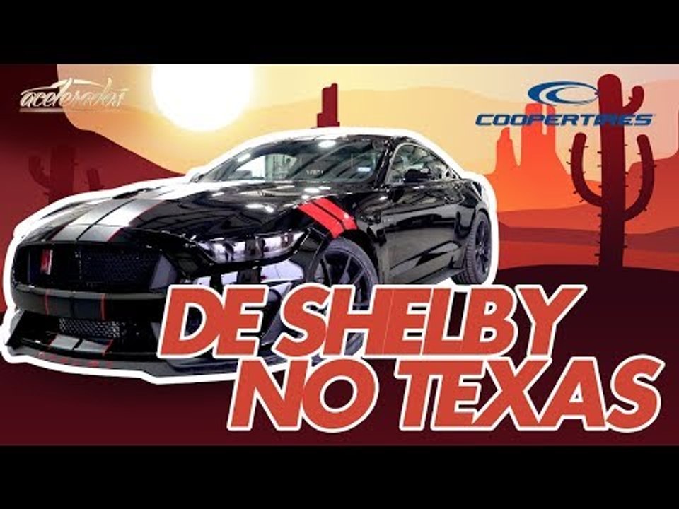 ROLÊ COM O MUSTANGÃO GT350 R NA PISTA DA COOPER TIRES + DICAS DE CALIBRAGEM! COOPER TIPS #2
