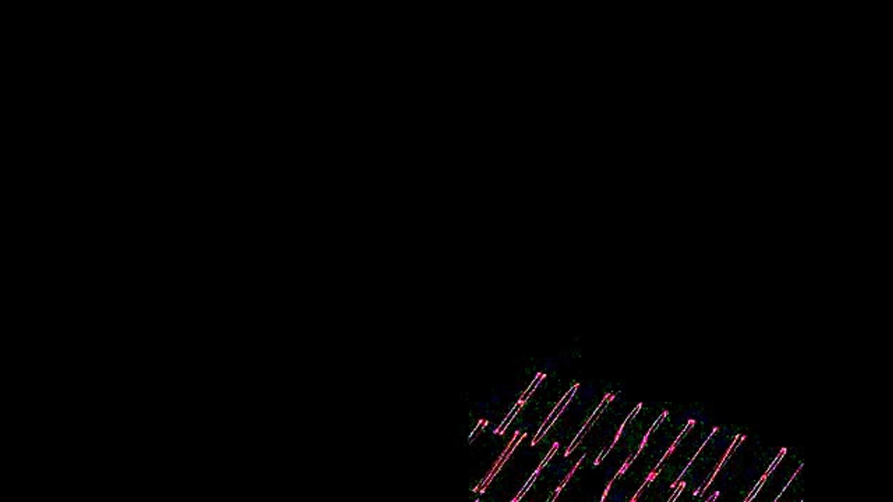 Blacko Espoir paroles-Lyrics