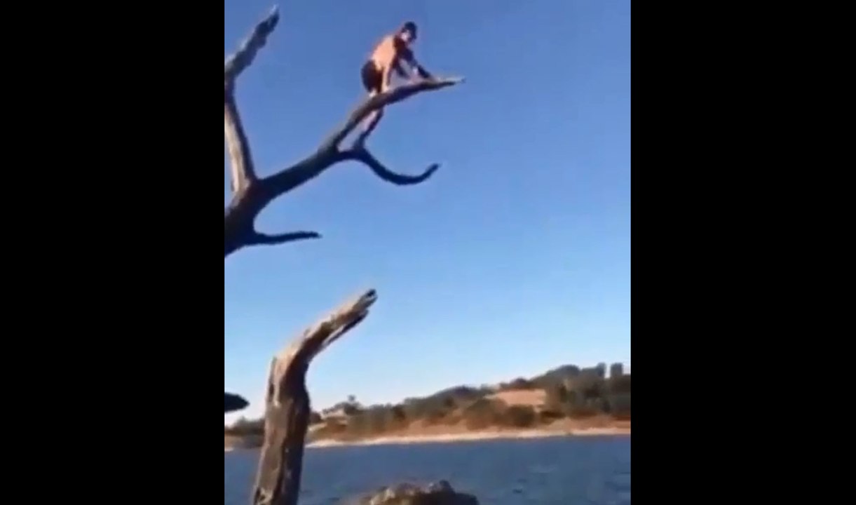 Il tombe d'un arbre en faisant le con.