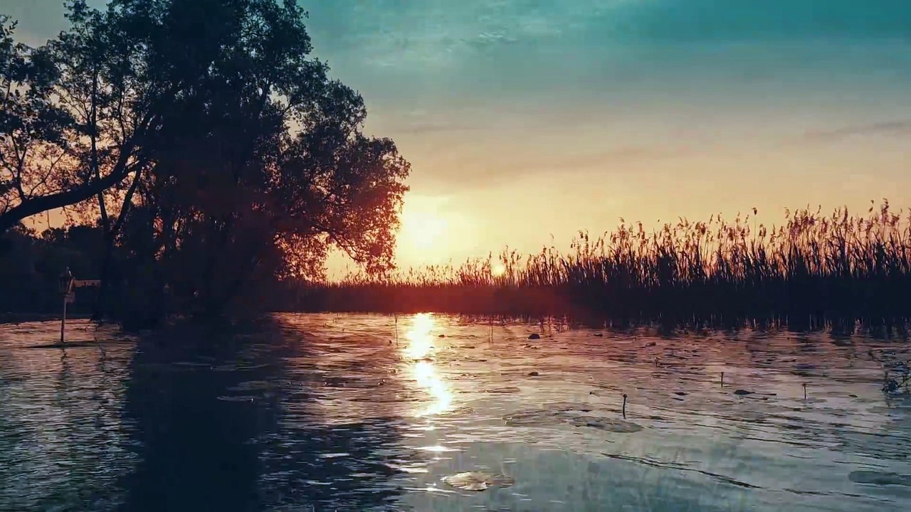 Naz Türkyılmaz - Bak Allahın Belasına (Official Video)
