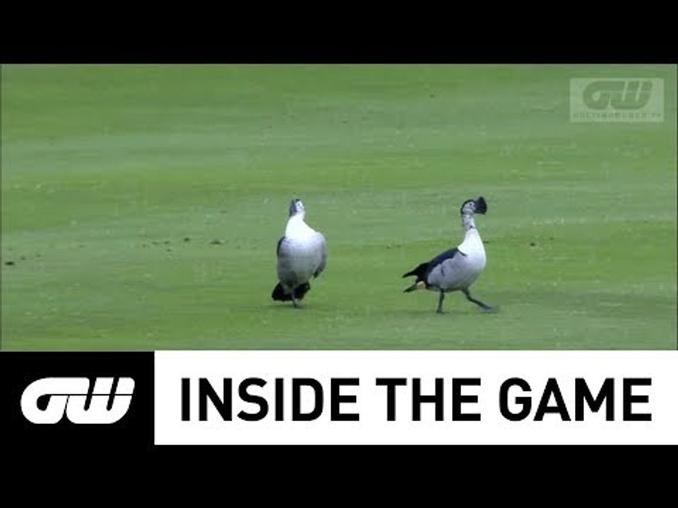 GW Inside The Game: Birdlife South Africa
