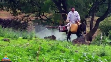 Modern Tarım İlaçlama Makine Teknolojisi