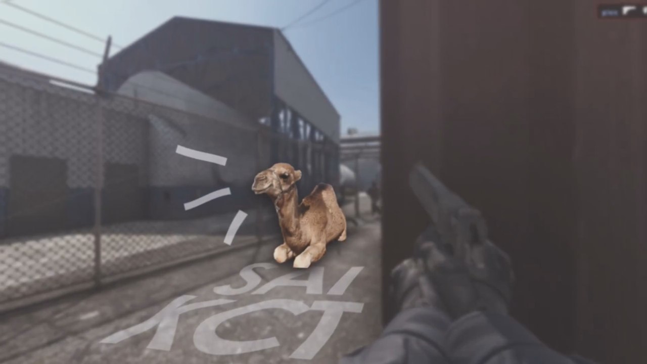 CAMELITO #CSGO