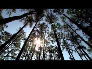 Mercedes-Benz Golf: Martin Kaymer – The Big Draw