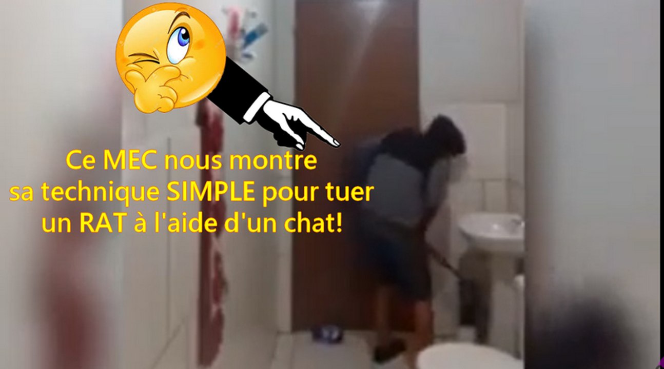 Ce mec nous montre comment tué un rat à l'aide d'un chat!