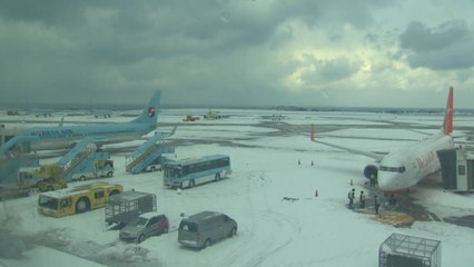 초유의 무더기 결항사태, 제주공항 현재 상황은? / YTN