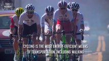 The Facts Behind Road Cycling _ Olympic Insider-fERov7DL1LI