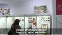 Cannabis museum celebrates legal weed