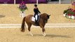The Lion King Medley in Equestrian Dressage at the London 2012 Olympics _