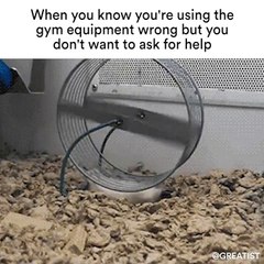 Gym Equipment Gone Wrong