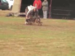 MOV004
