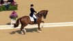 The Lion King Medley in Equestrian Dressage at the London 2012 Olympics _ Music Monday-87