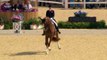 The Lion King Medley in Equestrian Dressage at the London 2012 Olympics _ Mus