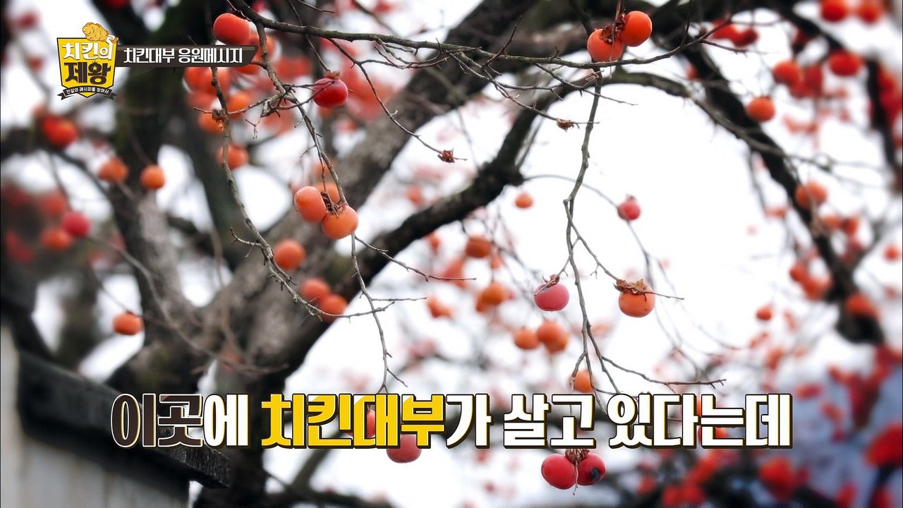 양념치킨의 아버지 '치킨대부' 윤종계 전격 출연! [치킨의 제왕 : 전설의 레시피를...