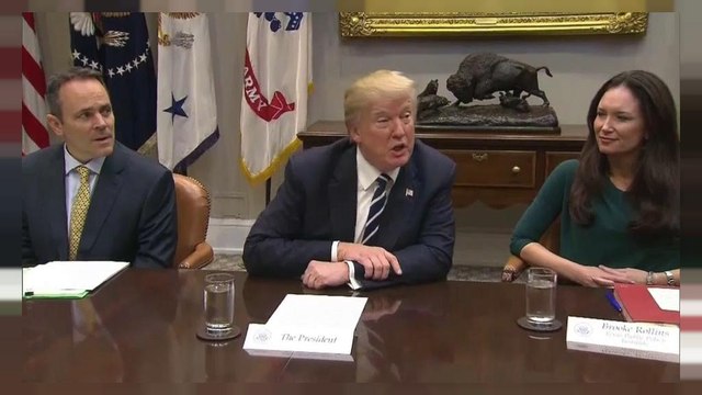Nações Unidas dizem que palavras de Trump são racistas