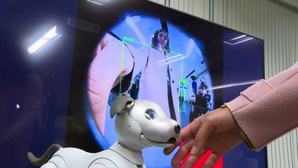 Sony bringt neuen Roboterhund "Aibo" auf den Markt