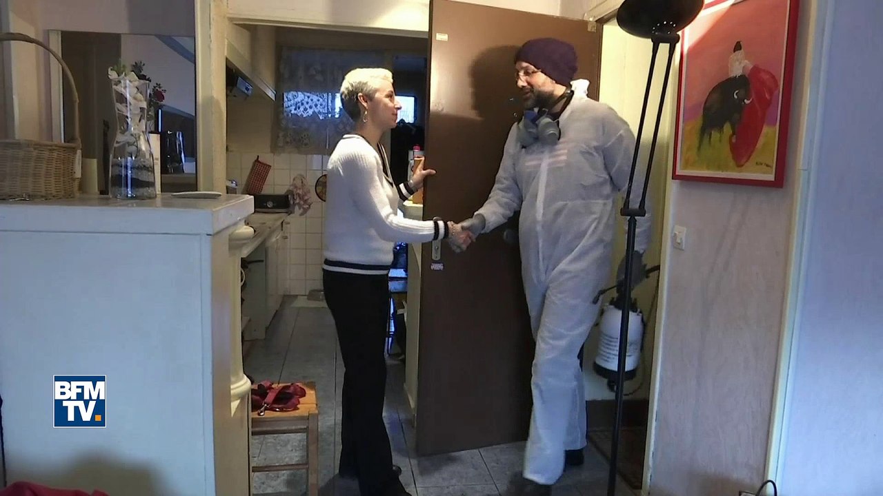 À Marseille, les punaises de lit envahissent le quartier de la Belle de Mai